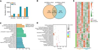 Full-length transcriptome sequencing provides insights into alternative splicing under cold stress in peanut